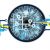 Spam Surge: AI Behind the Invasion