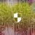 Sustainability Made Possible Through Technology